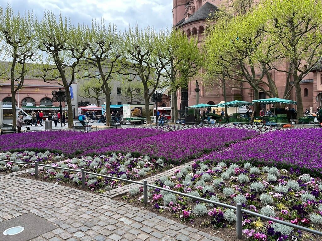 Flower Garden in Liefbrauenplatz