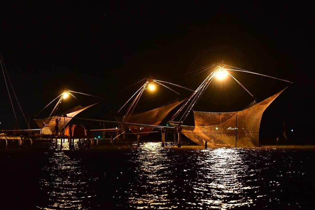 Bioluminescent Waters