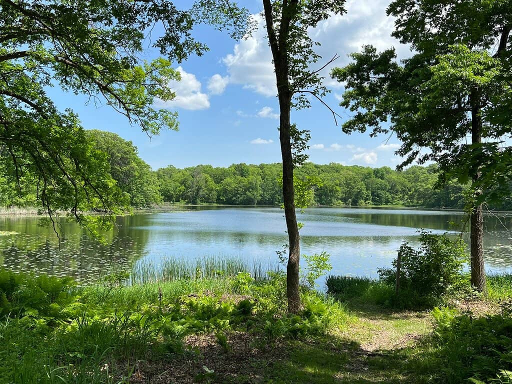 Lakeside Views
