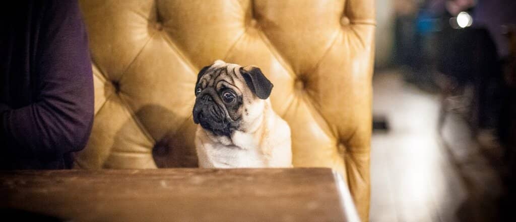 Crafted Cocktails & Affordable Drinks