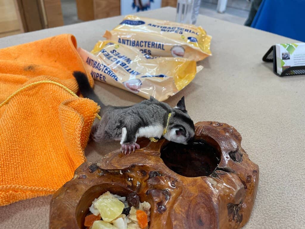 Home Decor Treasures