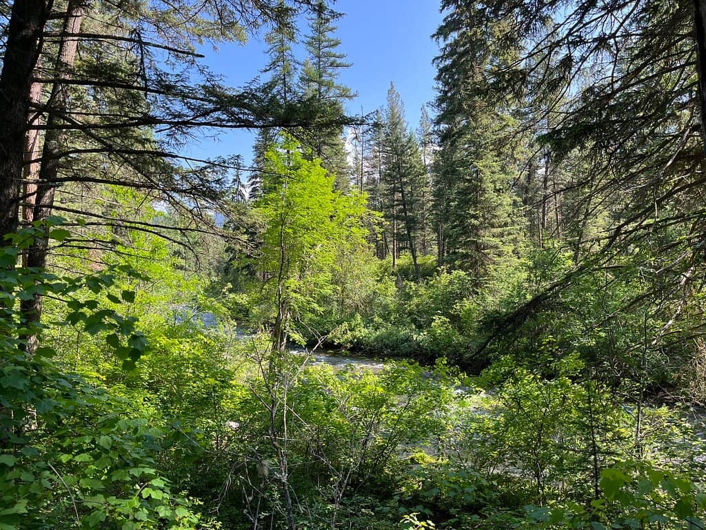 Curry Cabin & Stanley Peak