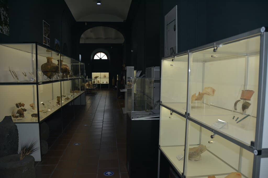 Roman and Pre-Roman History