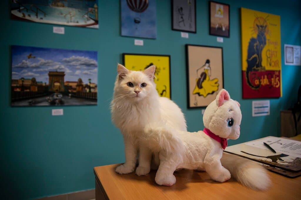 Well, aside of the paintings, you can admire me as well :)