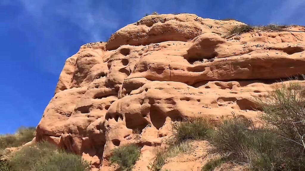 Oak Woodland Canyons