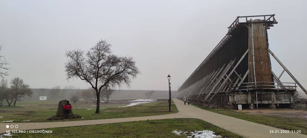 Therapeutic Saline Aerosol