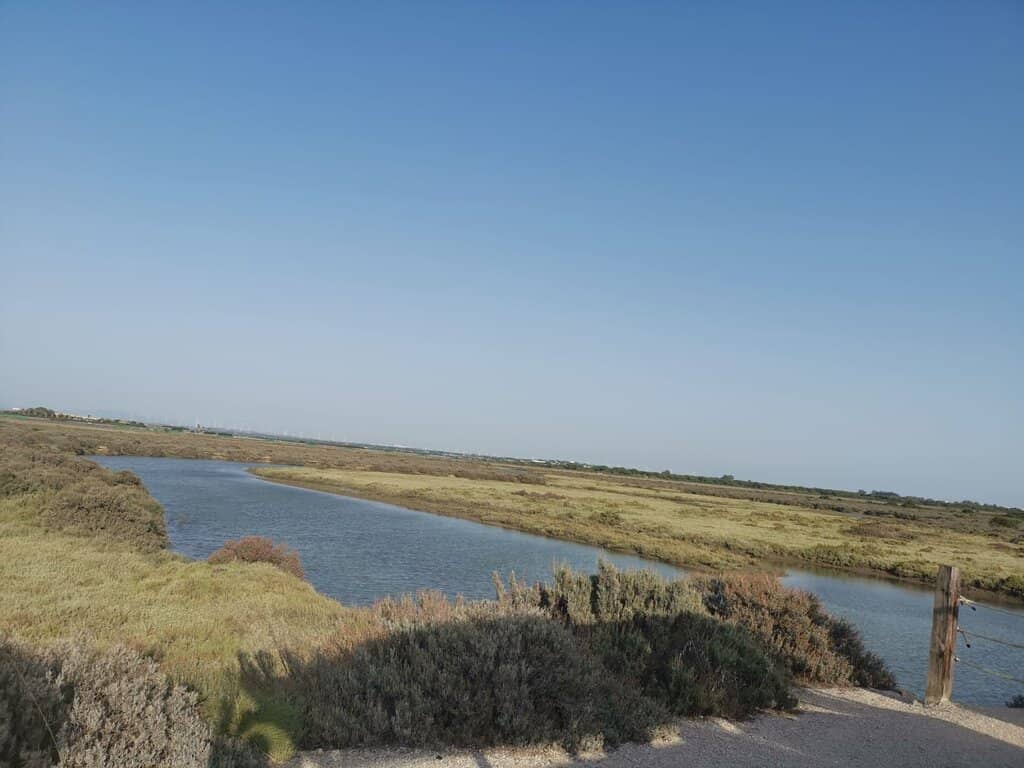 Birdwatching Paradise