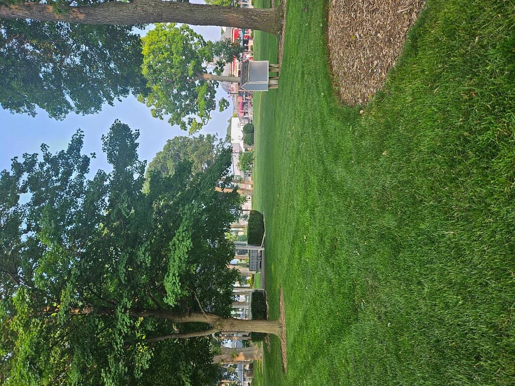 DeRivera Park Playground