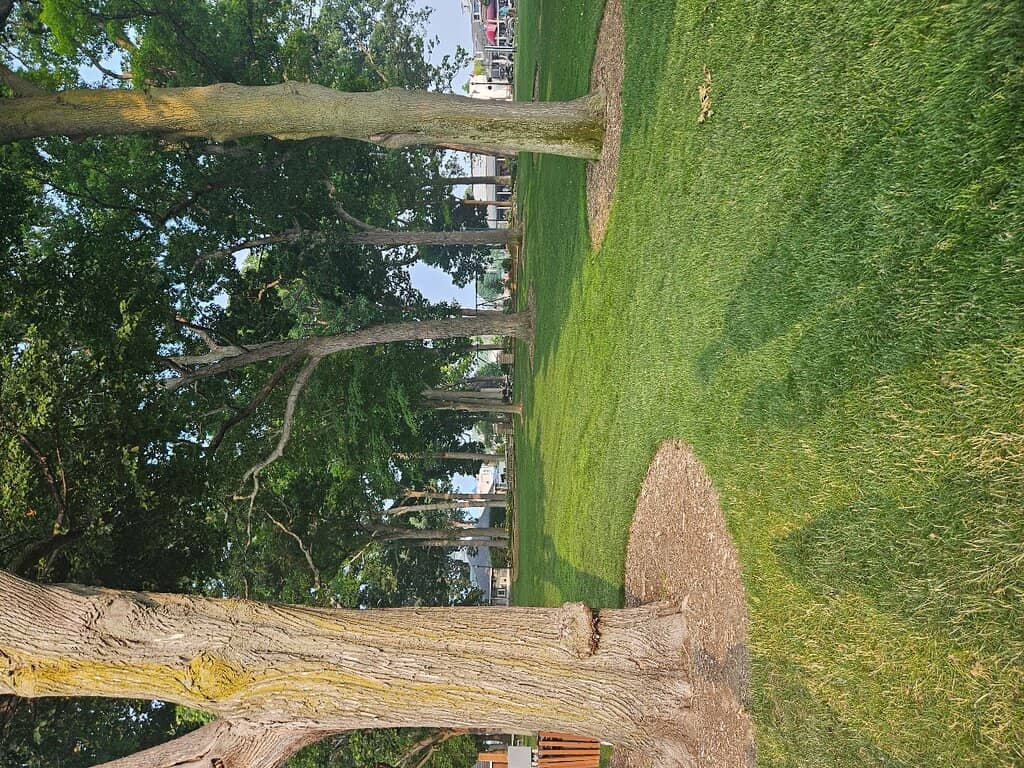 Seasonal Events & Craft Fairs