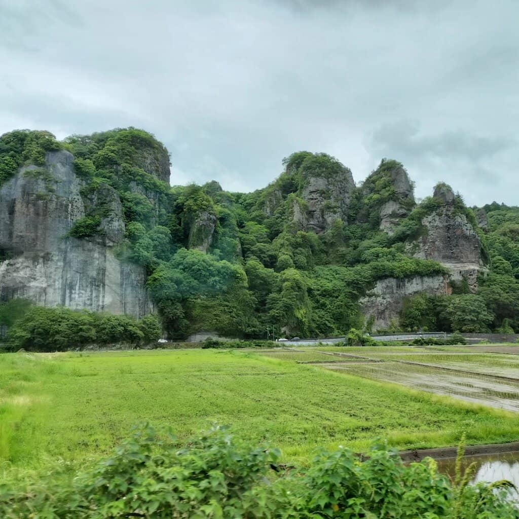 Scenic Riverside Walk