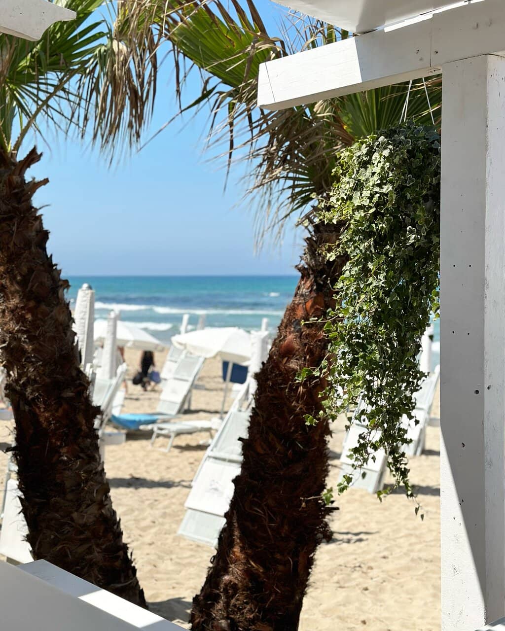 Vibrant Beachfront Dining