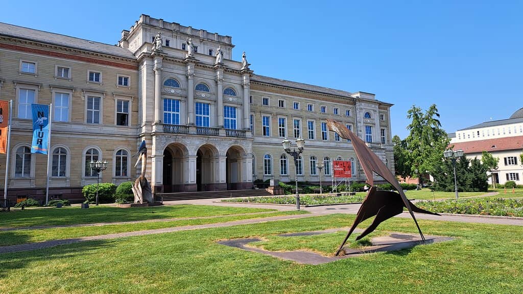 Creative Insect Expo