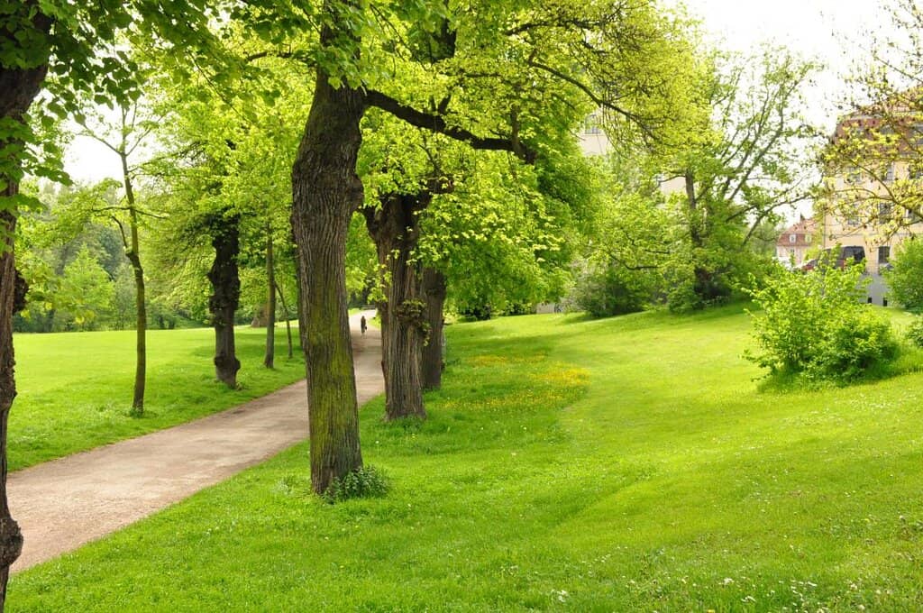 Herzogin Anna Amalia Bibliothek