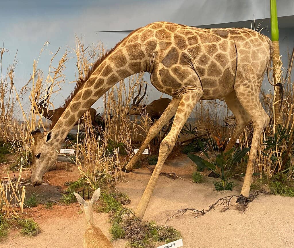 Children's Discovery Area