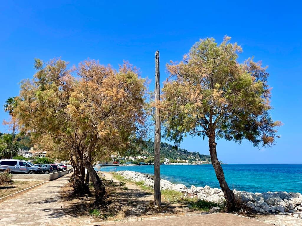 Snorkeling Haven