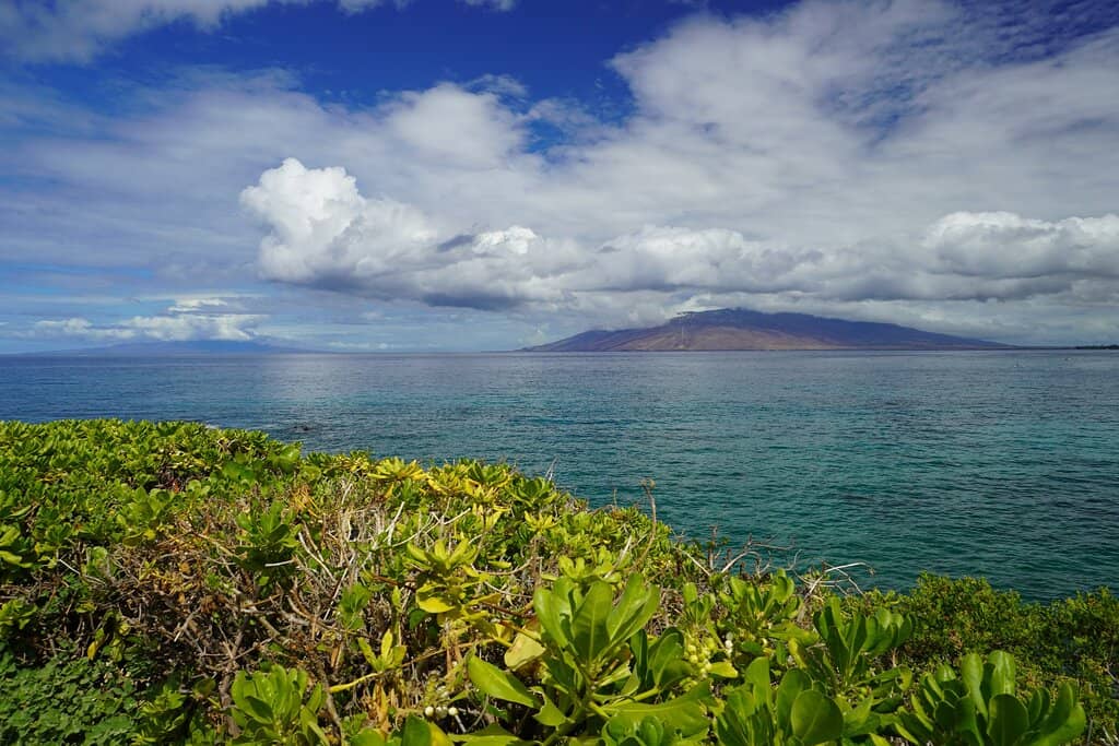 Oceanfront Vistas