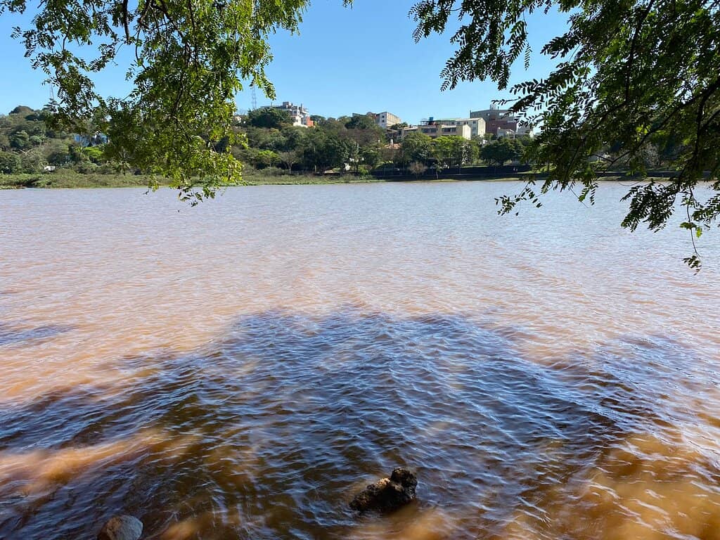 Serene Lakeside Strolls