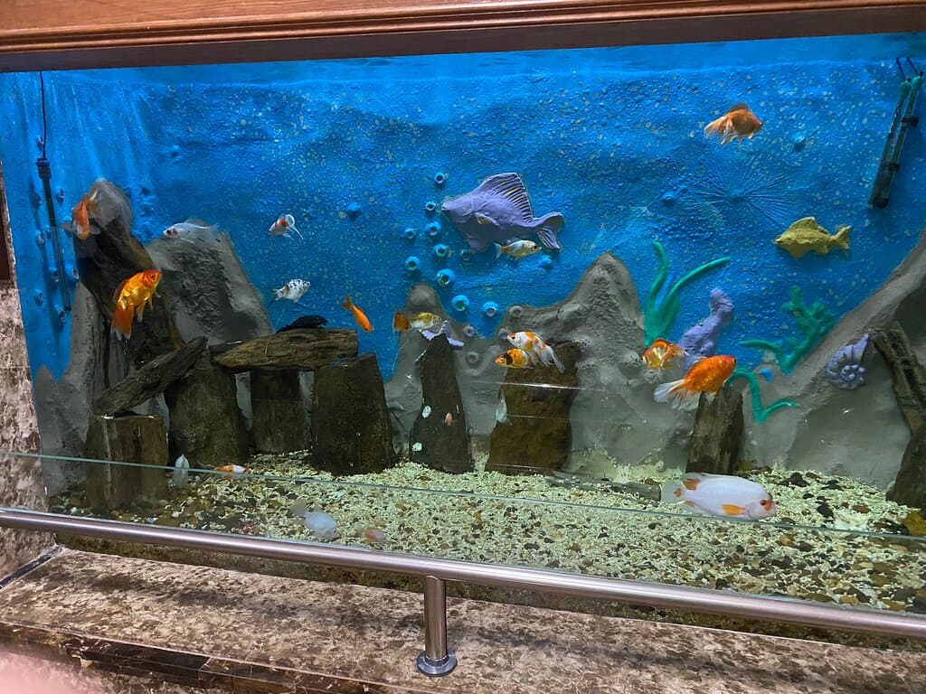 Alexandria Aquarium Museum