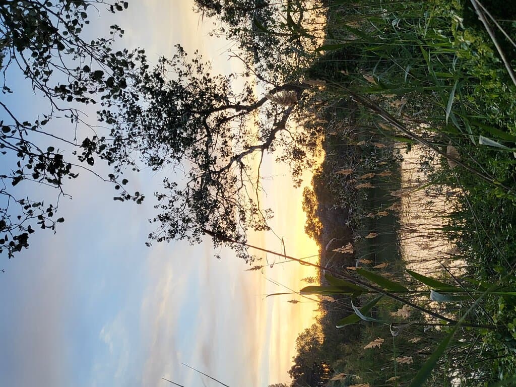 Beautiful riverside walking trails