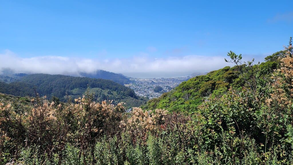 San Pedro Valley Park Pacifica