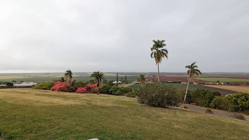 Sunset & Sunrise Spectacles