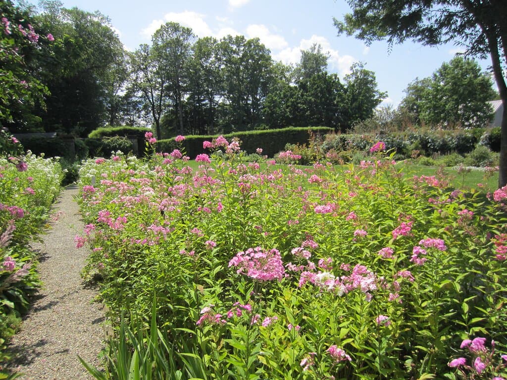 Haven for pollinators.