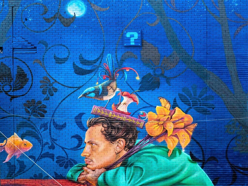 Artist Spotlights