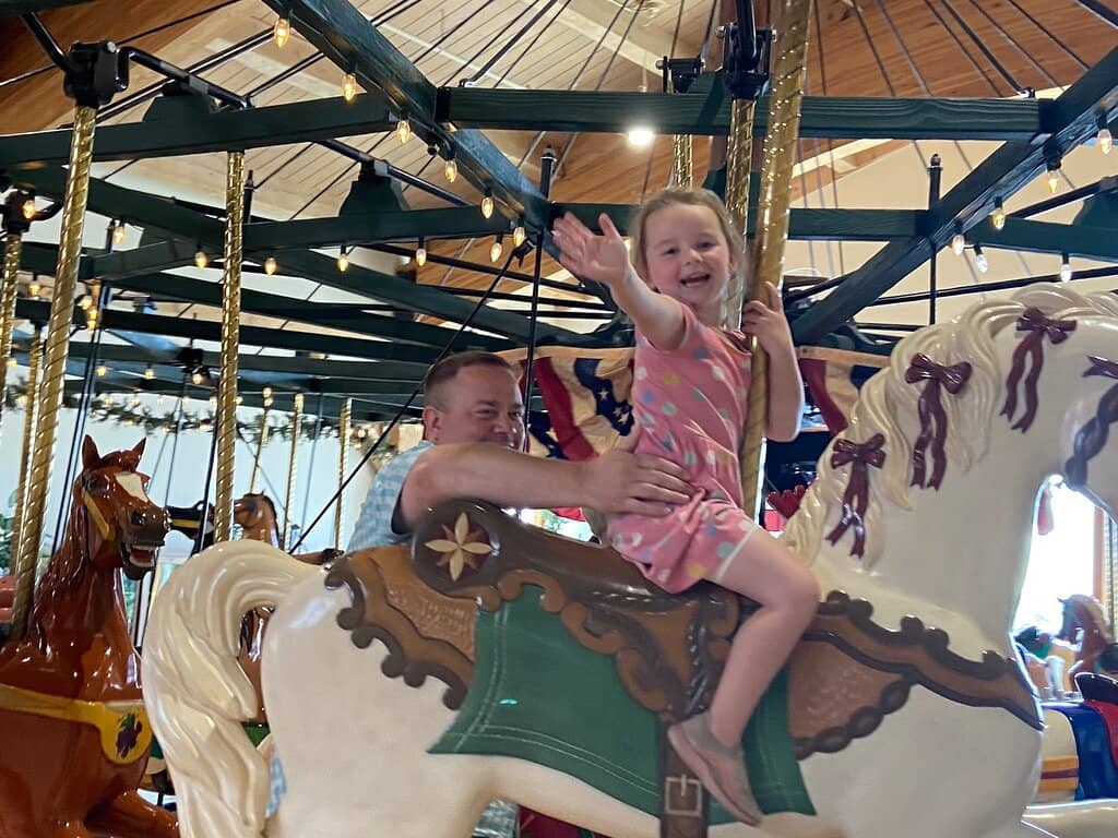 The Carousel