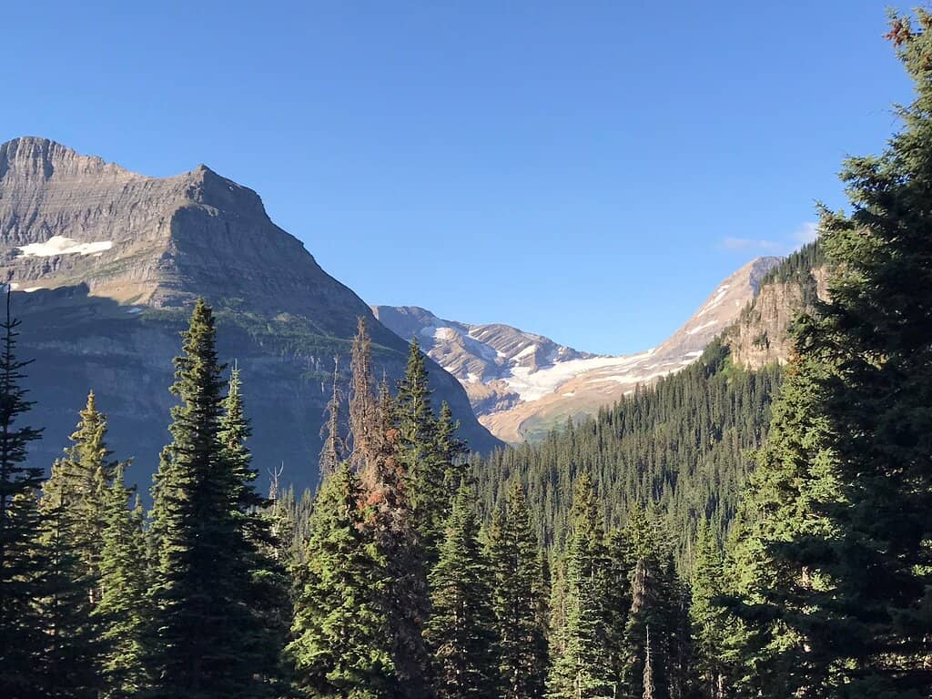 Potential Wildlife Sightings