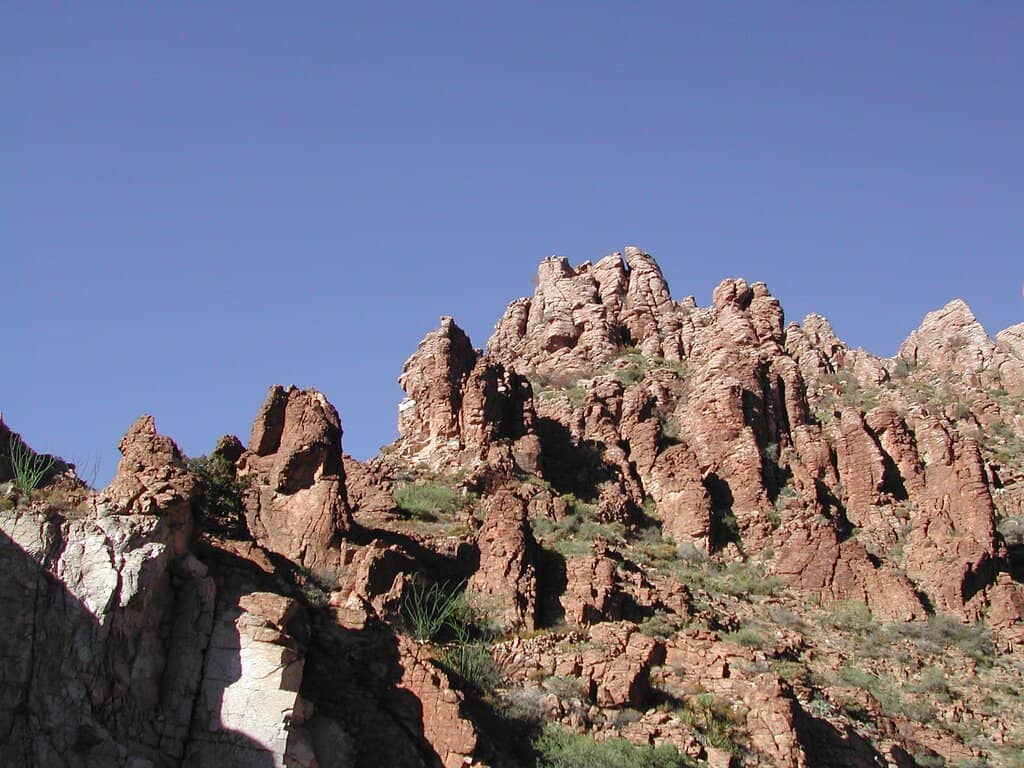 Vertical photo