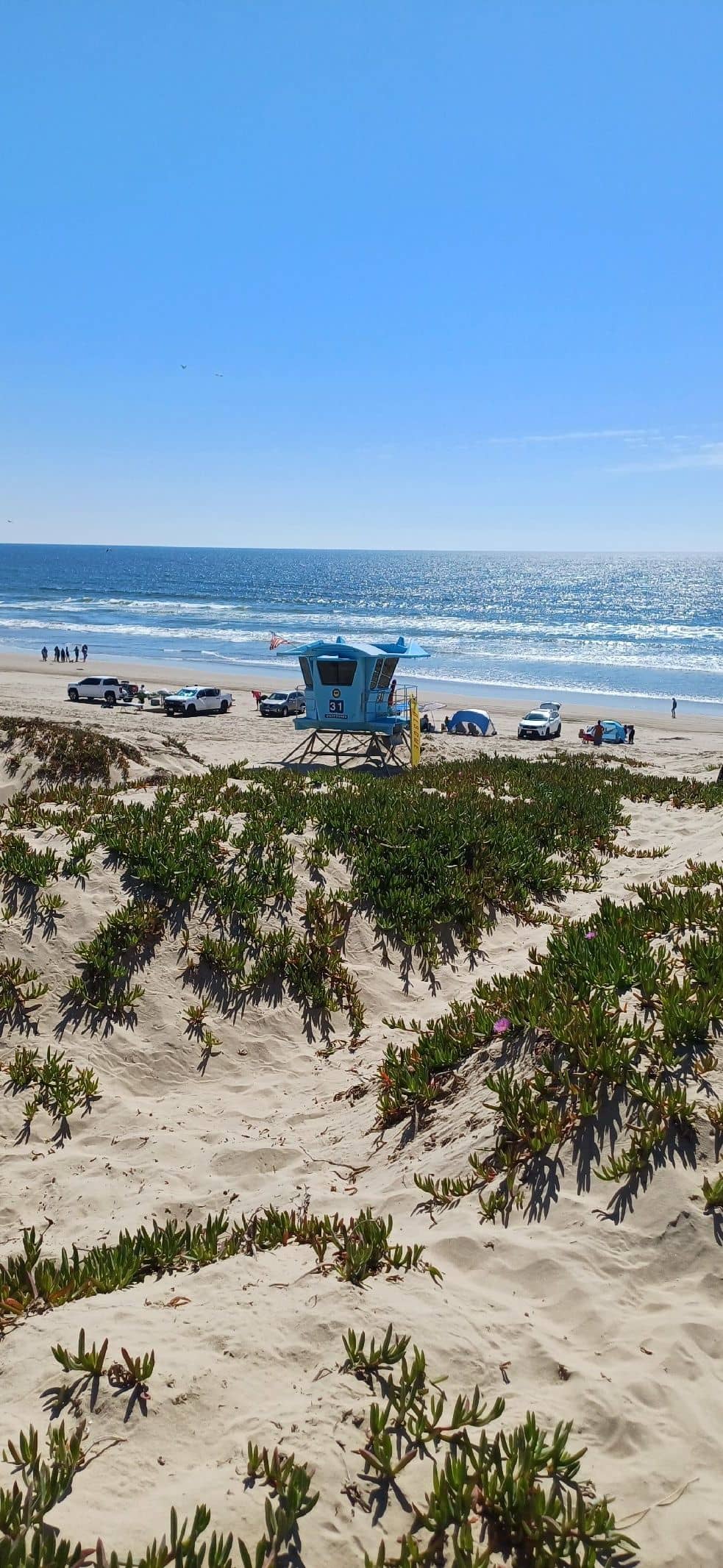 Beach Camping & Bonfires