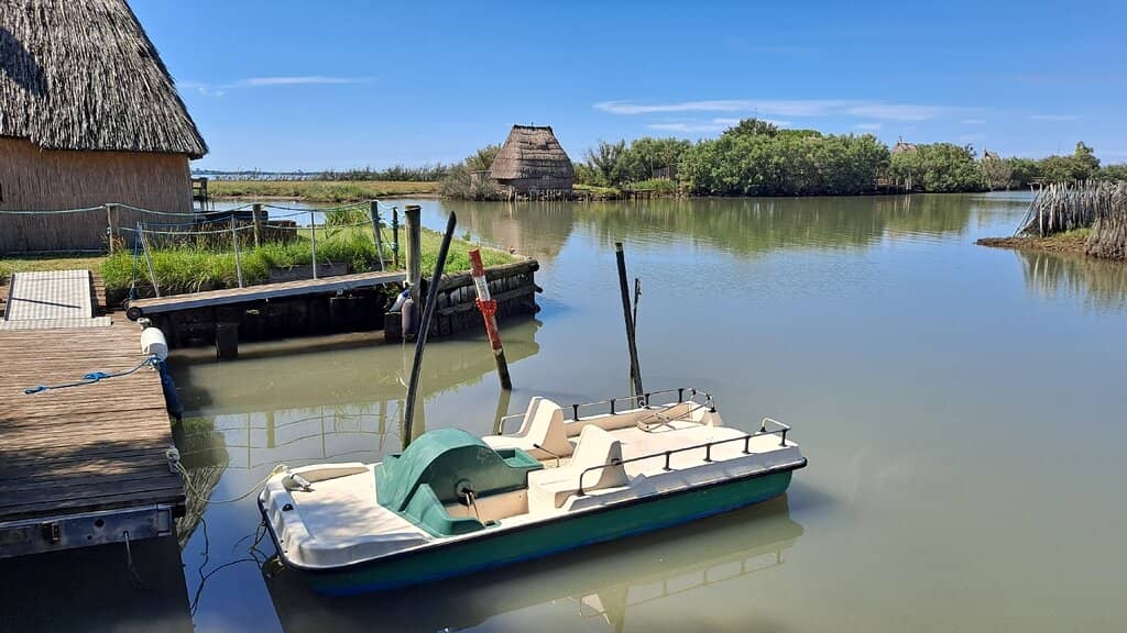 Birdwatcher's Paradise