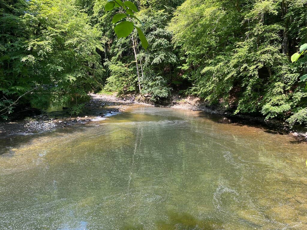 The Areuse River