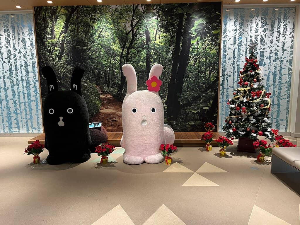 The Scenic Ropeway Journey