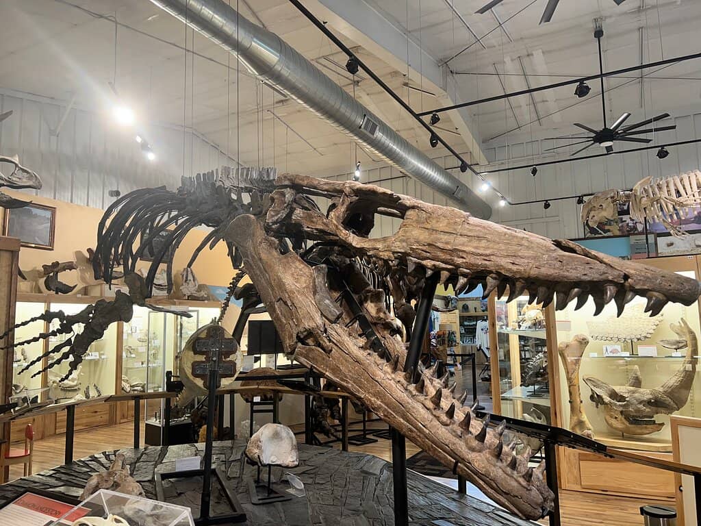 Frank Garcia's Discoveries