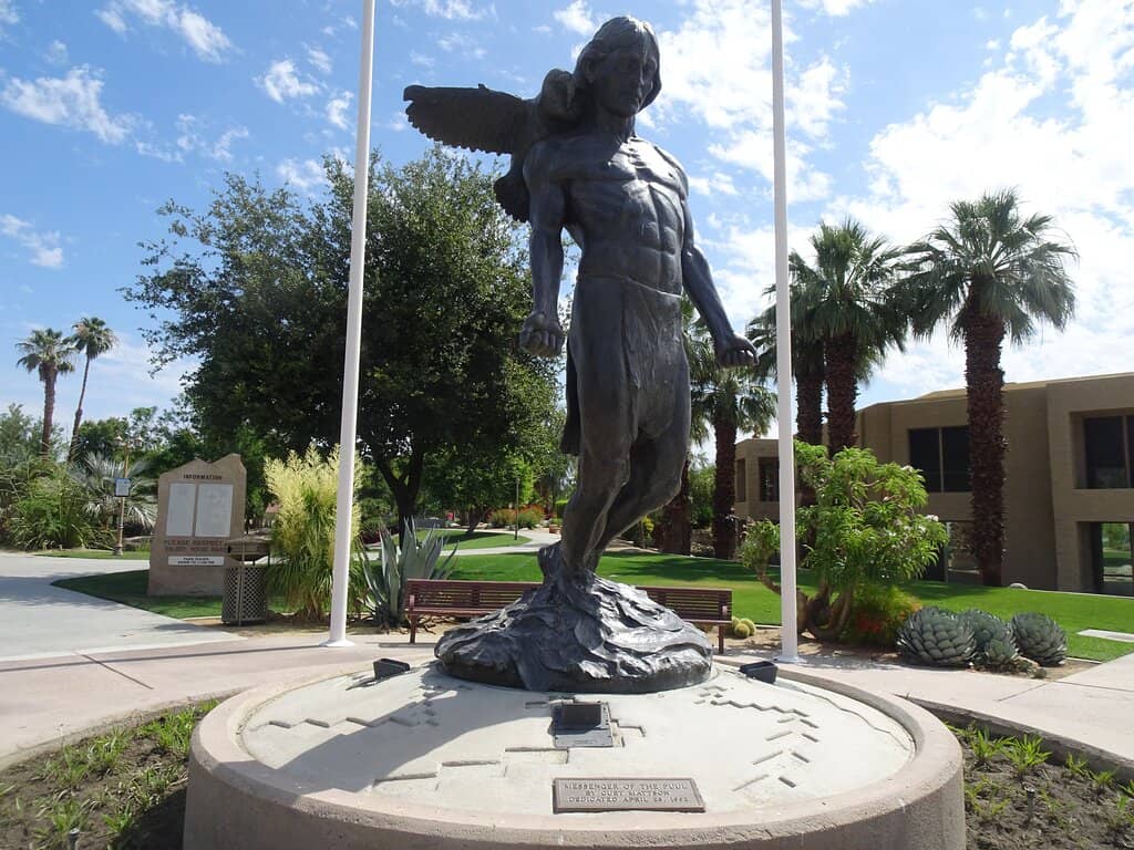 Sports Courts & Fields