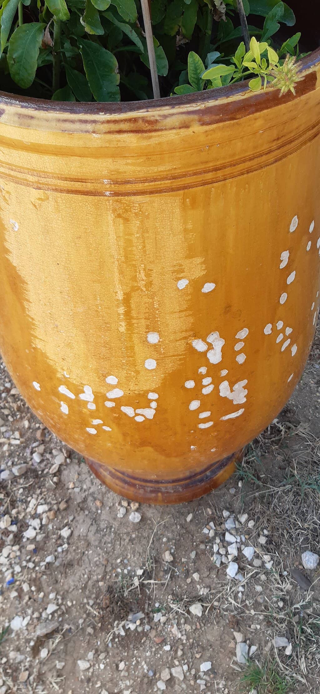 Traditional Anduze Vases