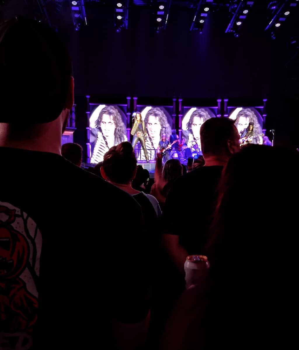 Live Music Spectacle