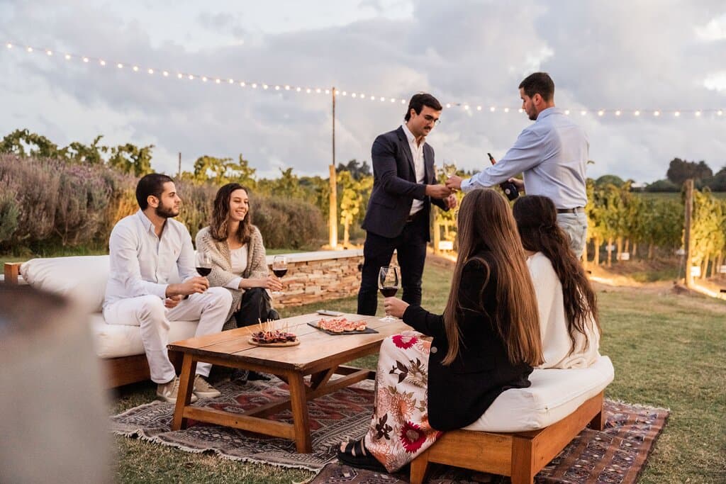 Degustaciones frente a los viñedos