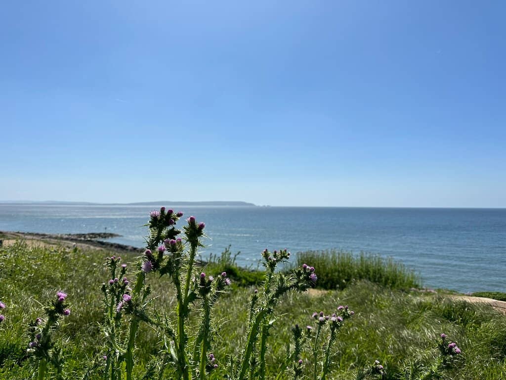 Fossil Hunting Opportunities