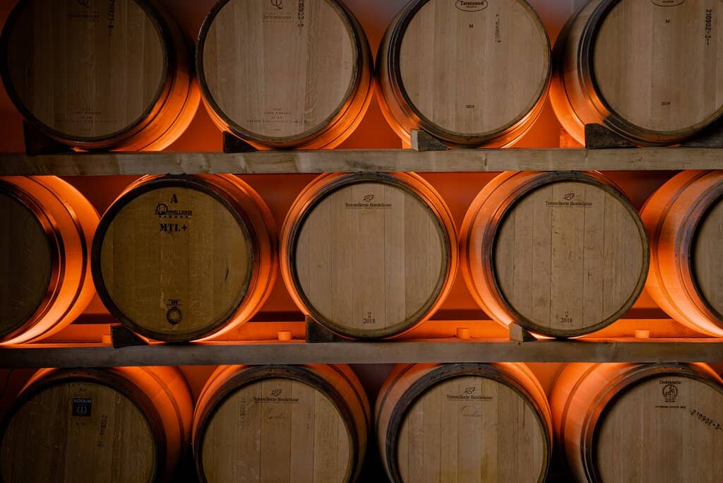 Cellar Exploration
