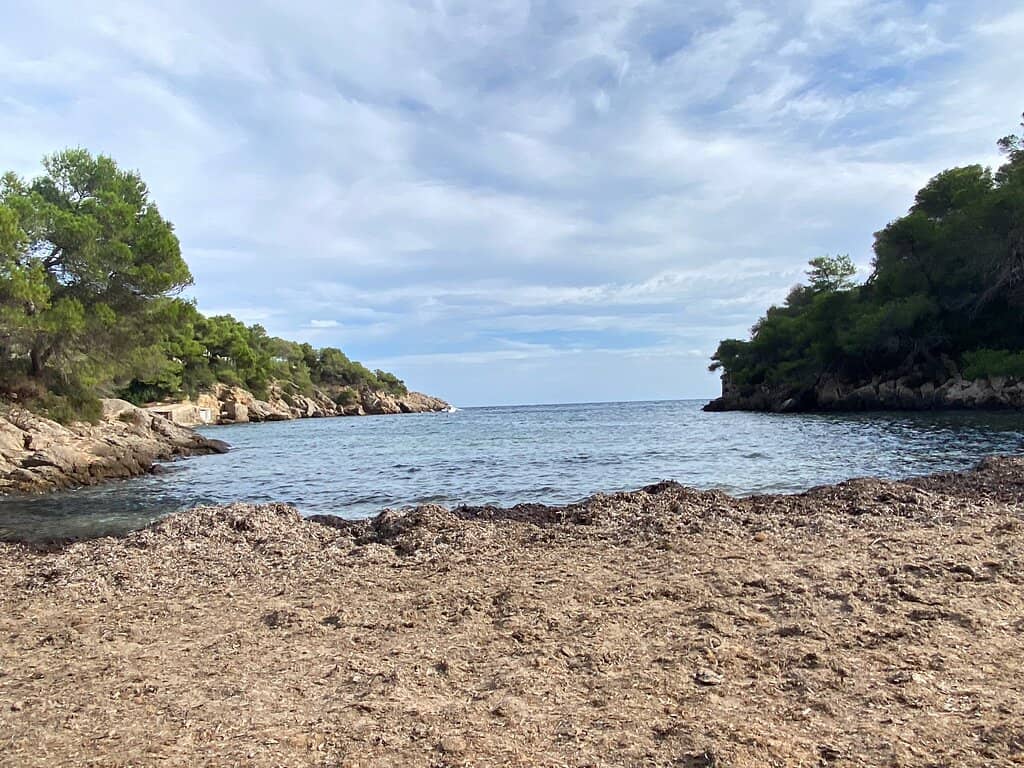 Tranquil Beach Setting