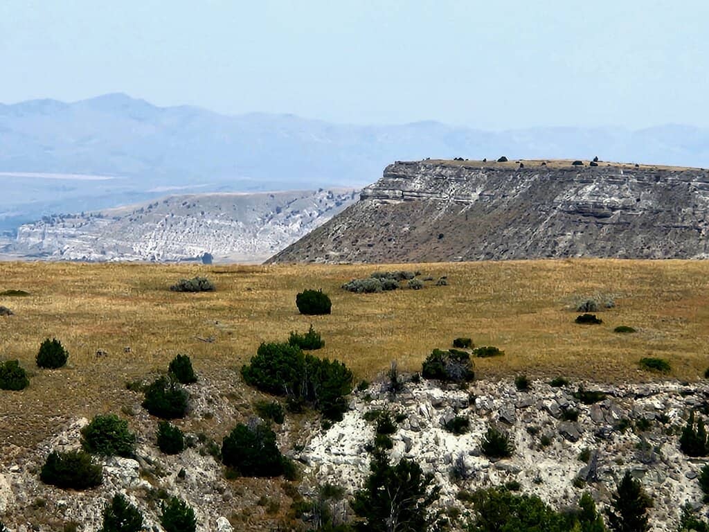 Rim Trail & Buffalo Loop Trail