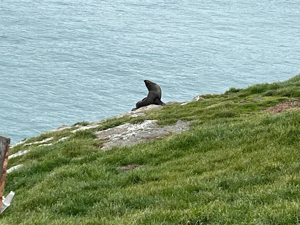 Katiki Point Lighthouse