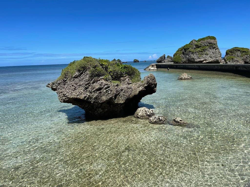 Snorkeling with Sea Turtles