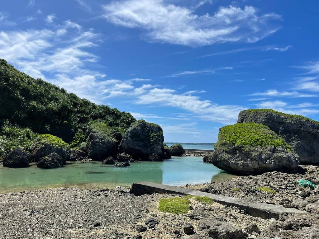 Abundant Butterfly Life