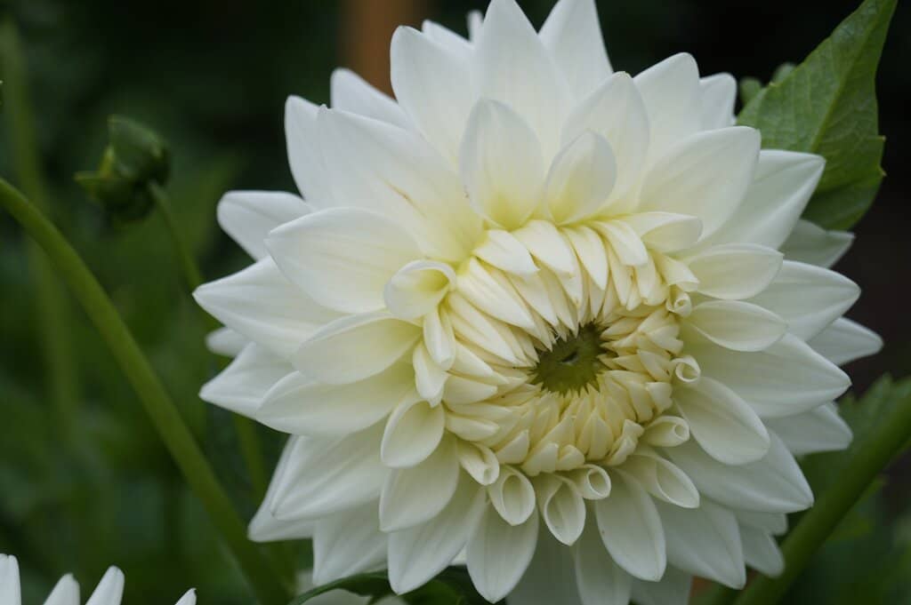 Photographer's Paradise