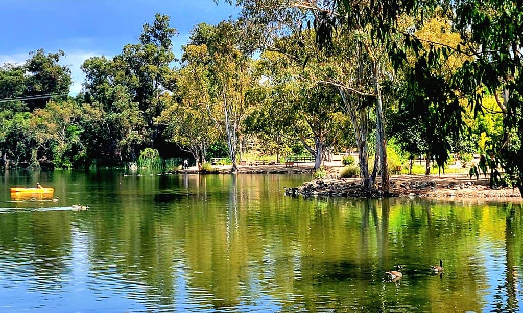 Picnic Areas and Lawns