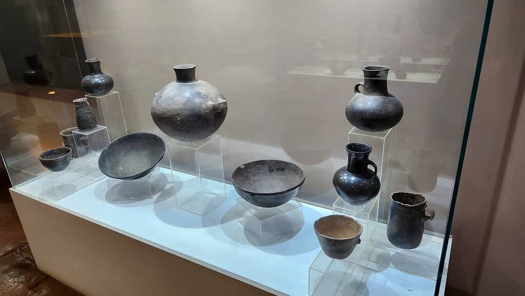 Pío Pablo Díaz Collection