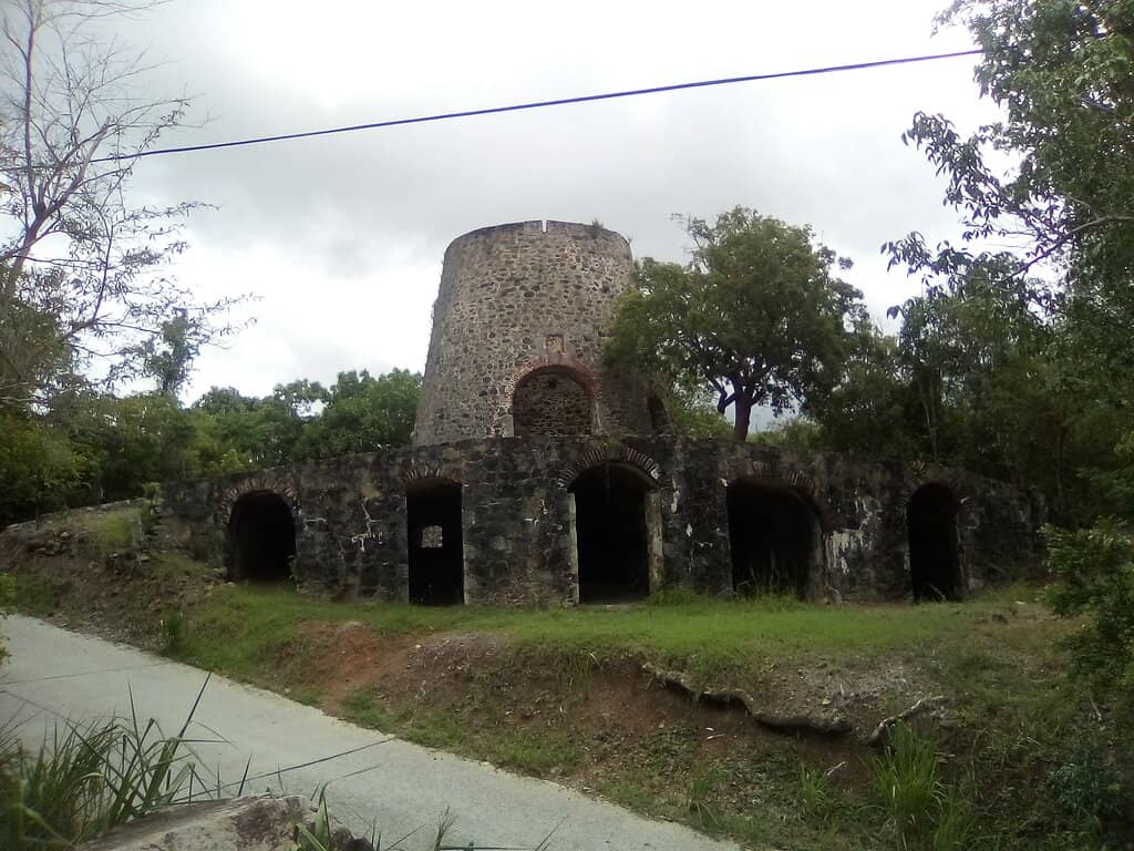 Historical Immersion